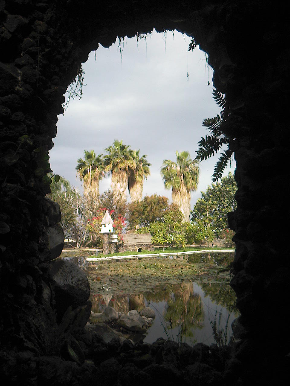 Gardens on Tenerife