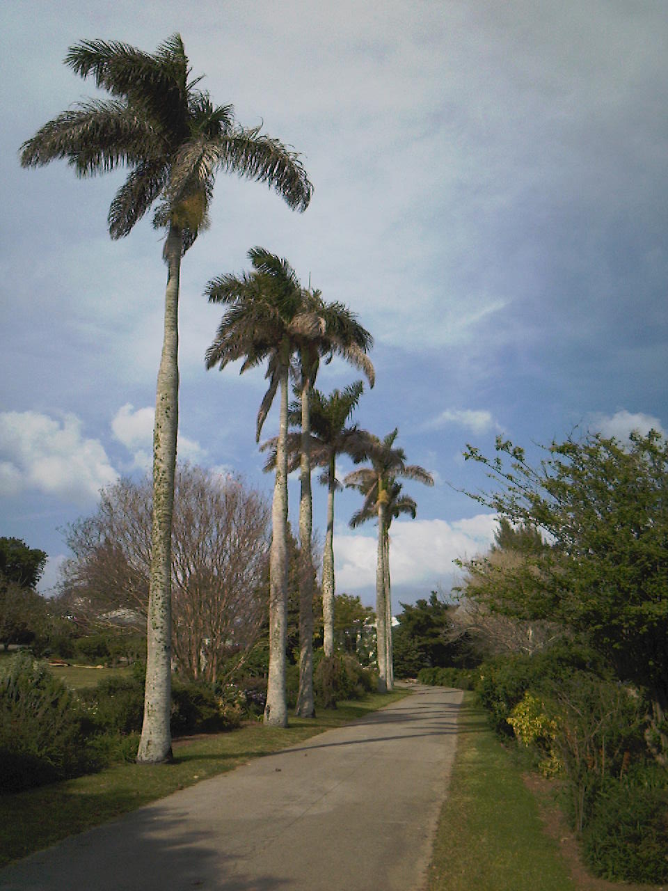 Botanical Gardens, Hamilton, Bermuda